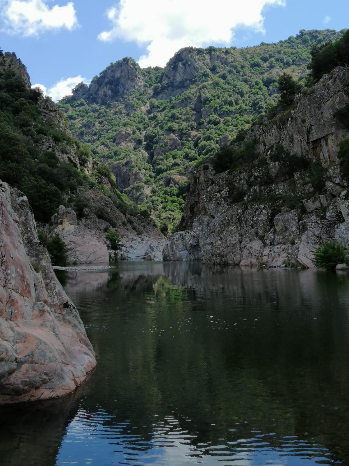 New! La Ginestra,Casa Vacanze Bifamiliare In Montagna-Seulo Sardegna 외부 사진